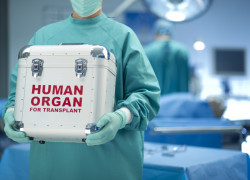 organ-donation 0