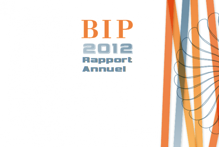 BIP - rapport annuel