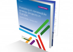 THUMBNAIL - Dentons Guide to Investing in renewable energy projects in E...