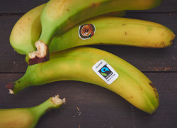 Bananes Fairtrade-3
