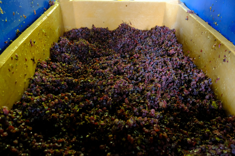 191211 Raisins Vin de Paille viirgepresst