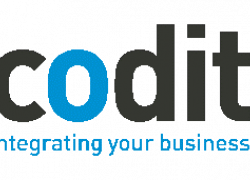 Logo CODIT (002)