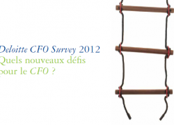Deloitte CFO survey