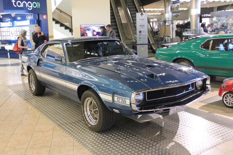 Mustang1[1]