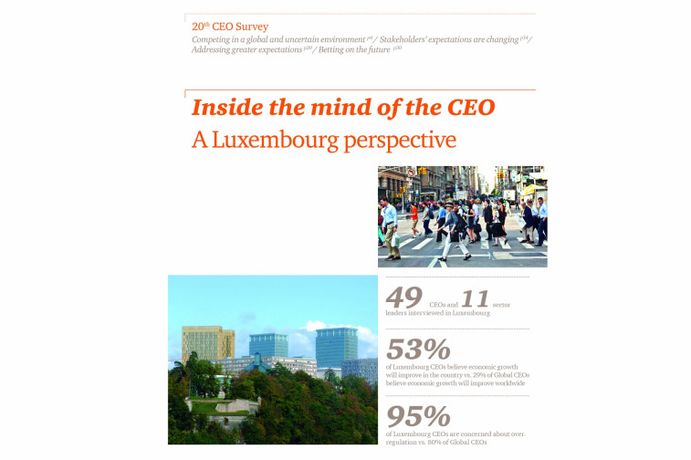 CEO Survey Cover