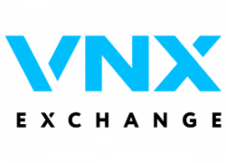 VNX-logo Resize-600x490