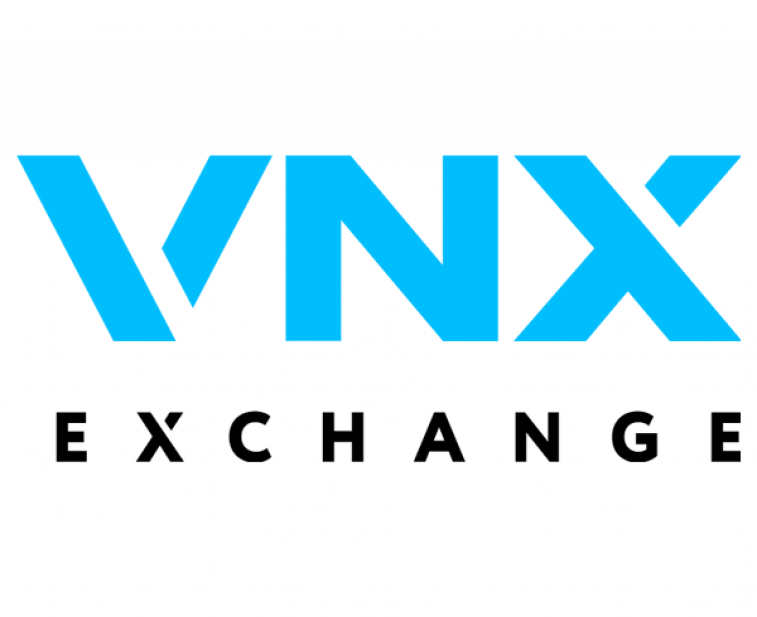 VNX-logo Resize-600x490