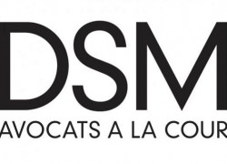 DSM-Di-Stefano-Logo