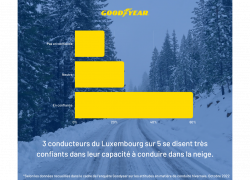 FR Infographics Luxembourg