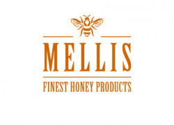 MELLIS Full Logo copy